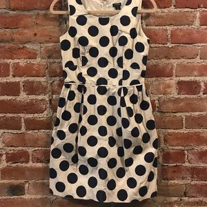 J. Crew | Polka Dot | A-line Pleated dress